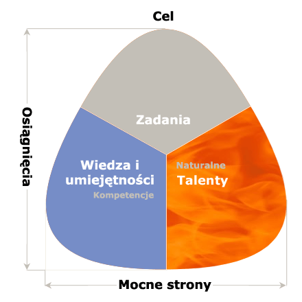 Talenty - Kompetencje - Zadania