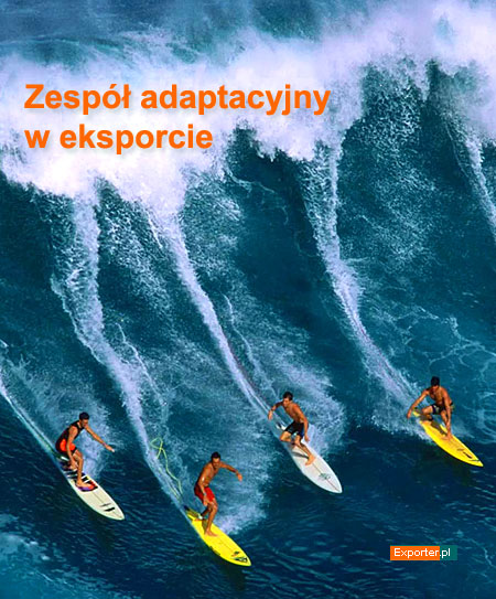 Zespół adaptacyjny w eksporcie