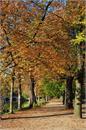 42_Kampinos_jesien